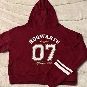 H&M Burgundy Hoodie